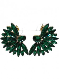 Fashion Earrings